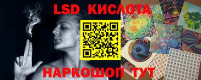 мяу мяу мука Будённовск